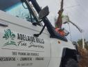 Adelaide Hills Tree Services logo